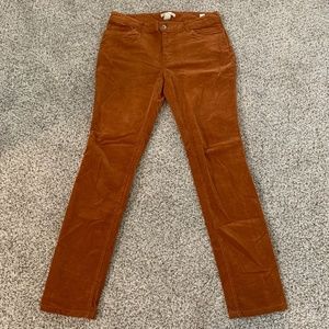 Cato Contemporary Burnt Orange Corduroy Straight Leg Jeans Women's 8 - LIKE NEW